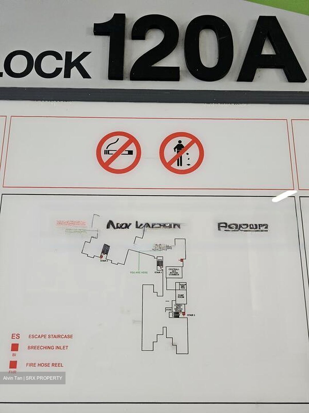 Blk 120A Punggol Edge (Punggol), HDB 4 Rooms #485747041